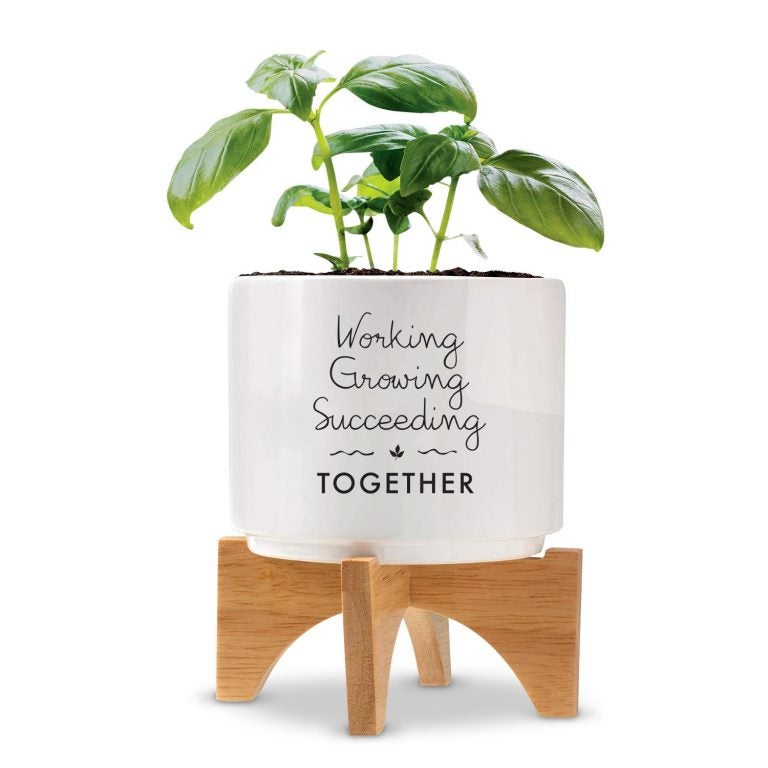 Do plants make great employee gifts?